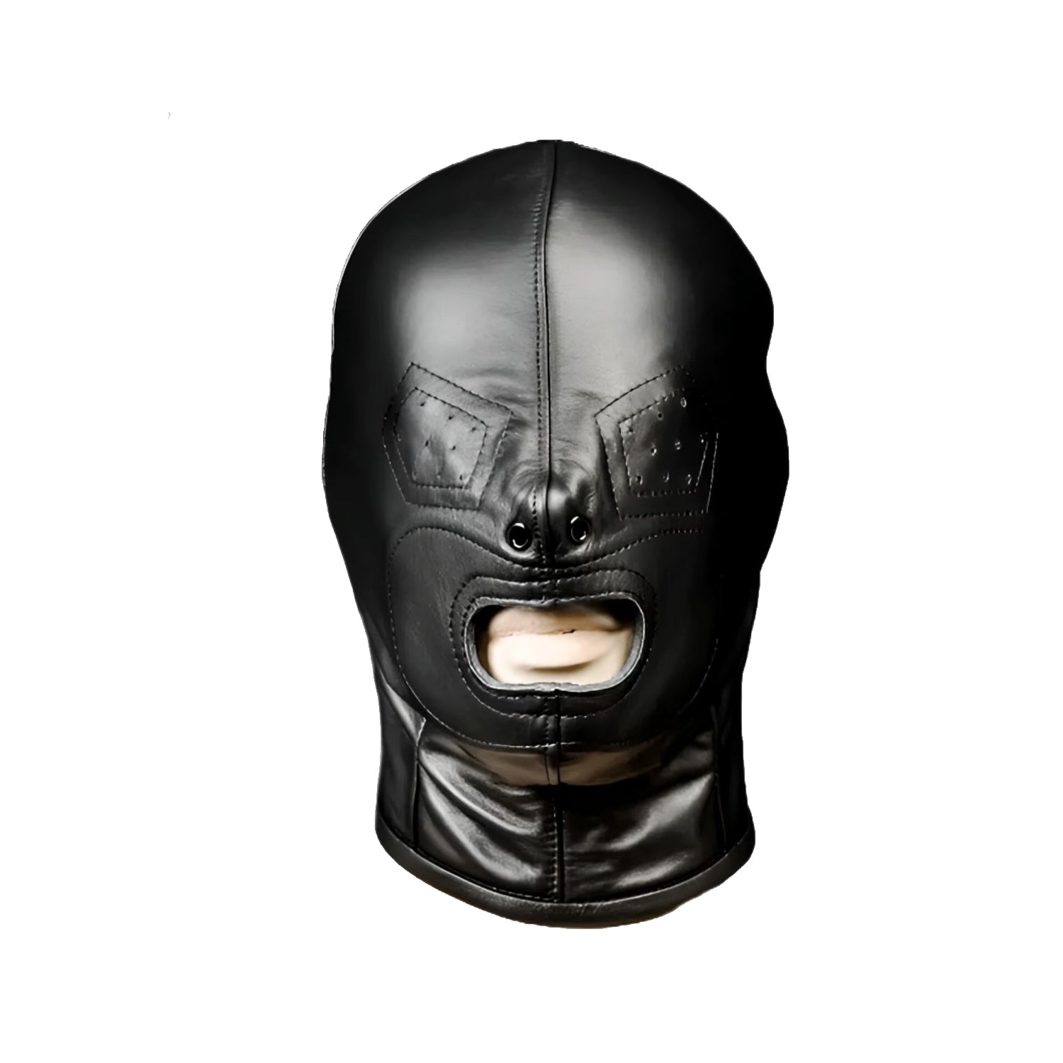 Full Enclosure Leather Hood – Zip Closure & Lockable Collar